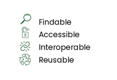 Making Data FAIR: How R-NEET Ensures Ethical and Open Research