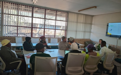 From Resilience Research to Digital Action: Empowering South Africa’s NEET Youth