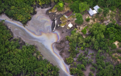 Understanding Environmental Peace in the Niger Delta